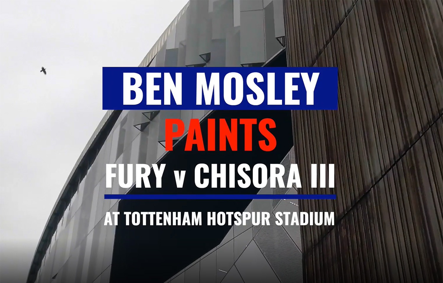 Ben Paints Fury vs Chisora